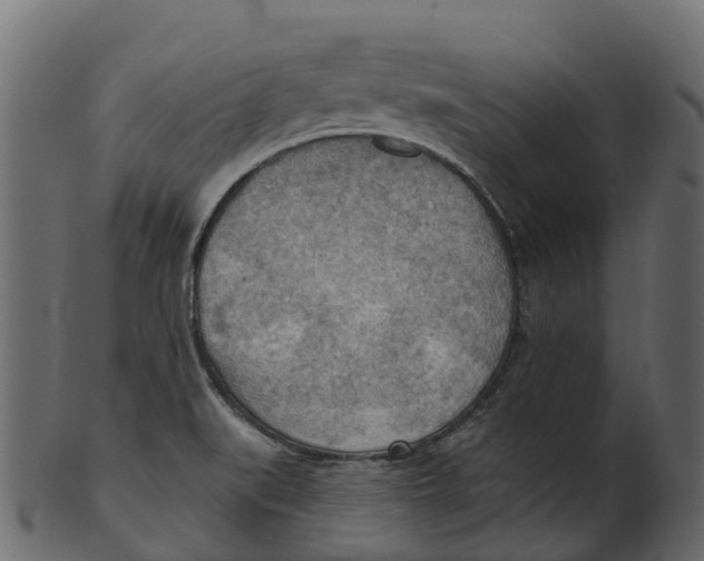 X0000100471519200807031815