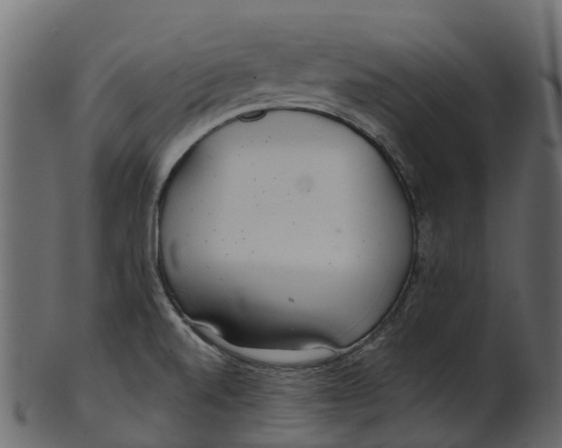 X0000100471520200807031815