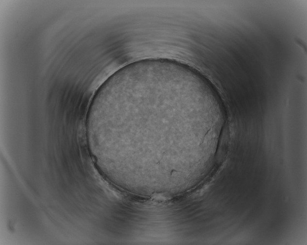 X0000100471521200807031815