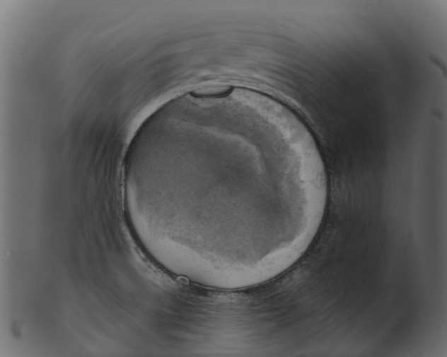 X0000100471522200807031815