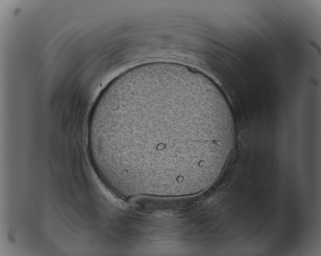 X0000100471523200807031815