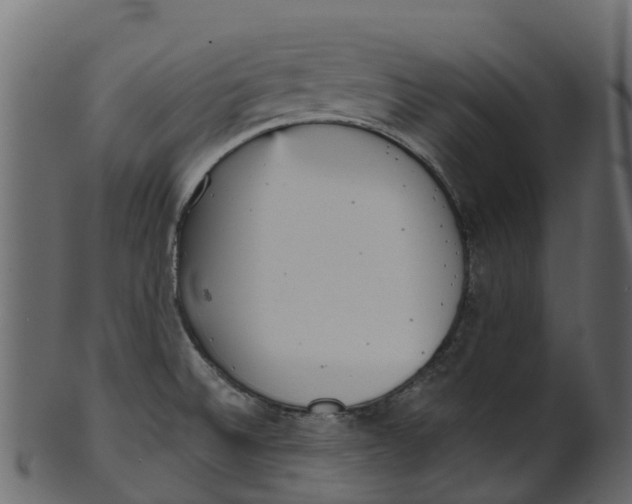 X0000100471524200807031815