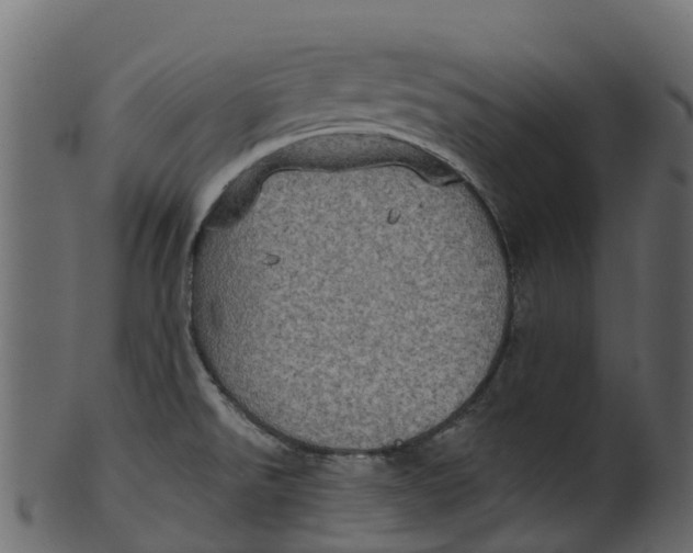 X0000100471526200807031815