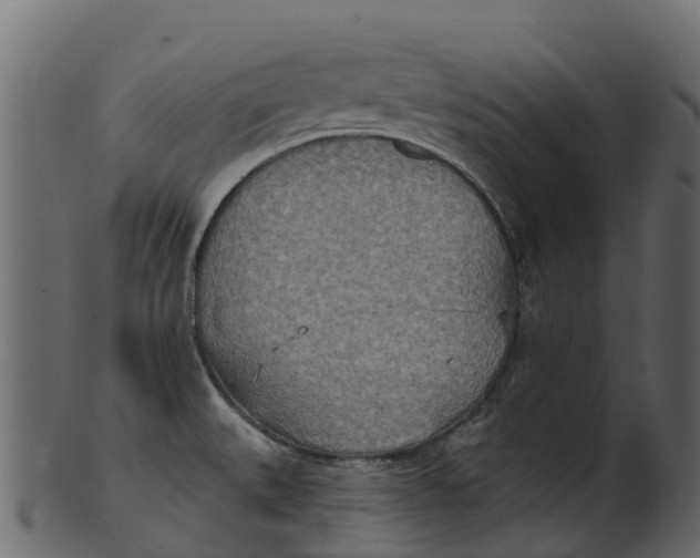 X0000100471527200807031815