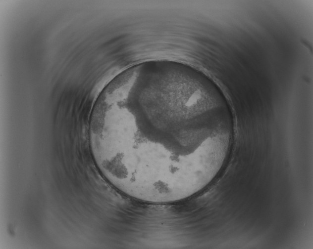 X0000100471529200807031815