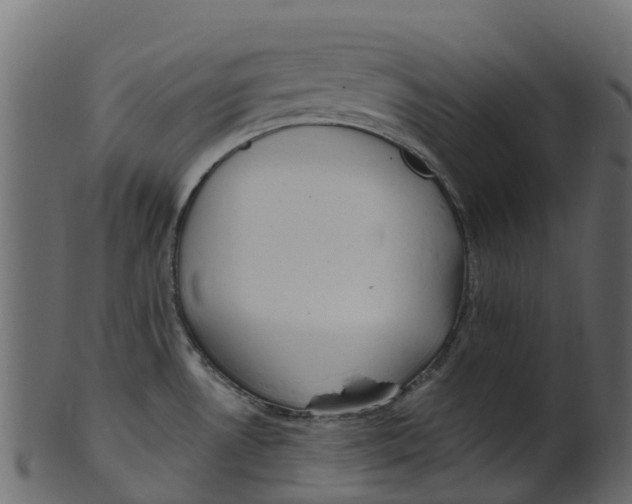 X0000100471530200807031815