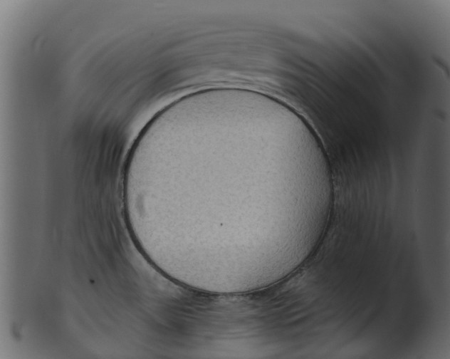 X0000100471531200807031815