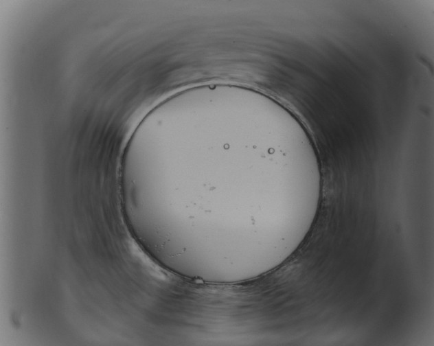 X0000100471532200807031815