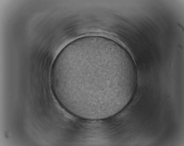 X0000100471533200807031815