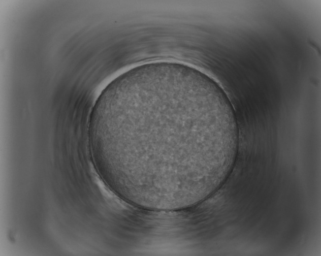 X0000100471534200807031815