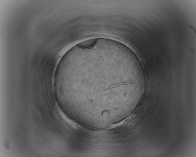 X0000100471535200807031815