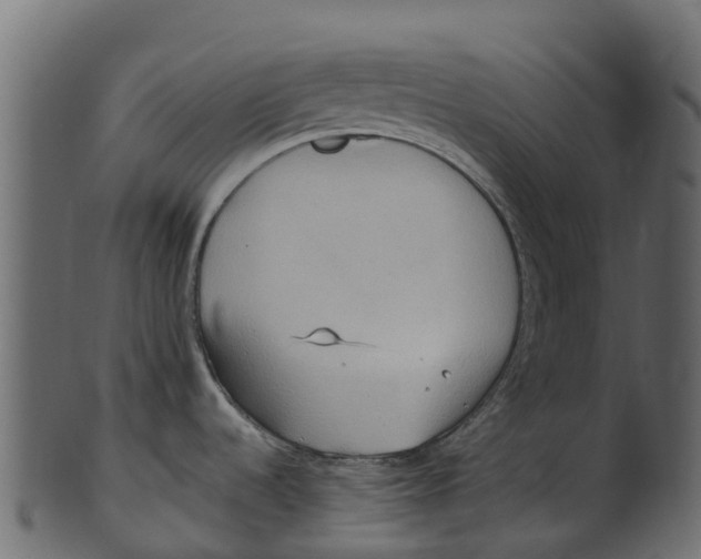 X0000100471536200807031815