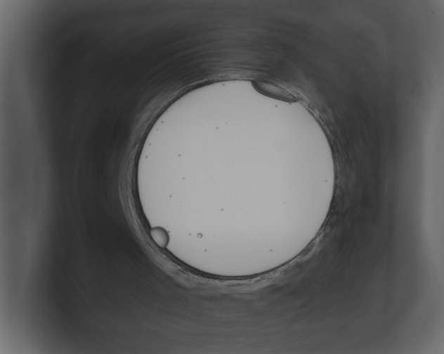 X0000100470001200807111050