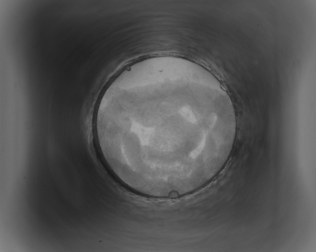 X0000100470002200807111050