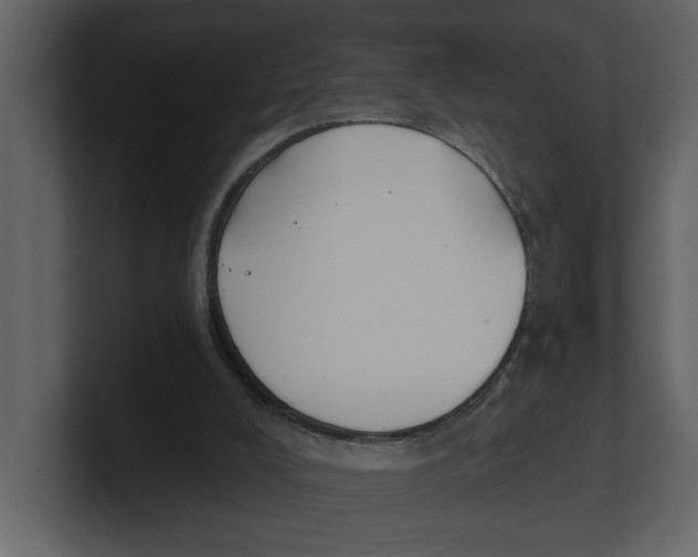 X0000100470008200807111050