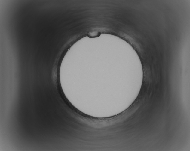 X0000100470015200807111050