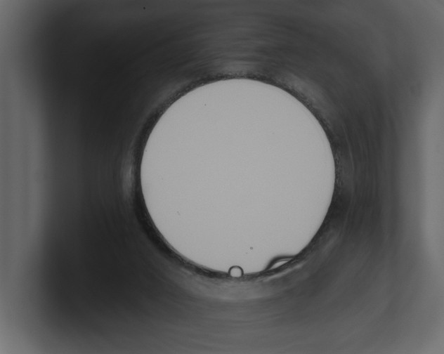 X0000100470016200807111050