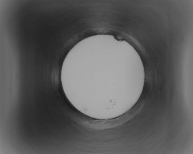 X0000100470023200807111050