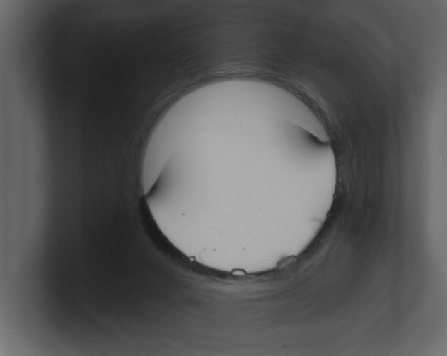 X0000100470024200807111050