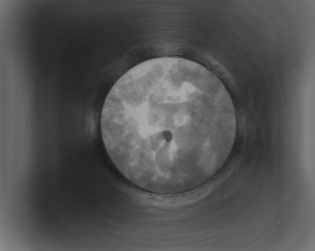 X0000100470026200807111050