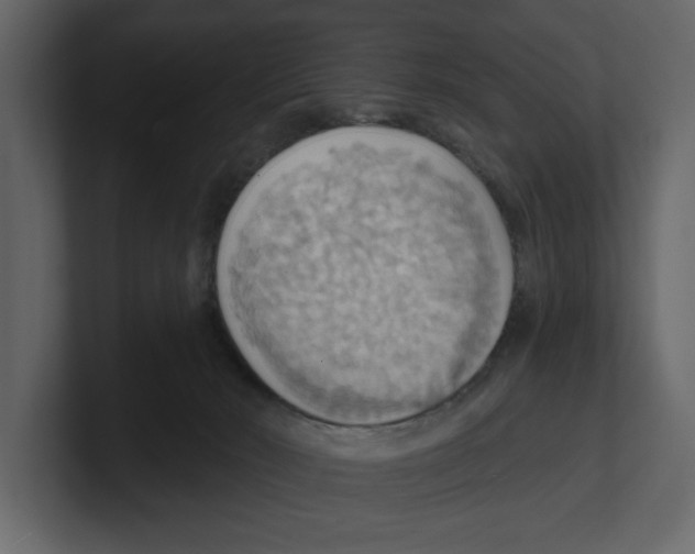 X0000100470030200807111050