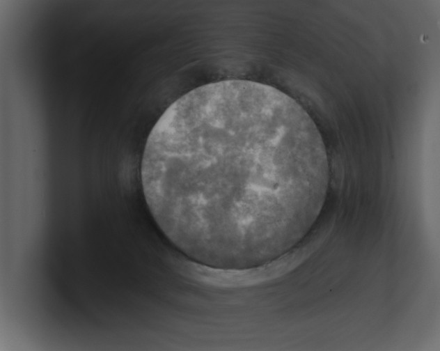 X0000100470034200807111050