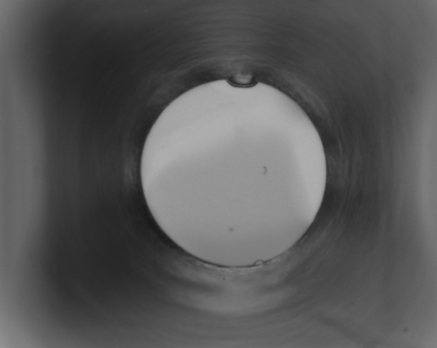 X0000100470035200807111050