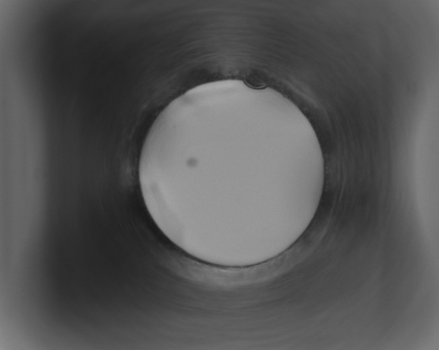 X0000100470039200807111050