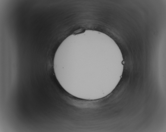 X0000100470040200807111050