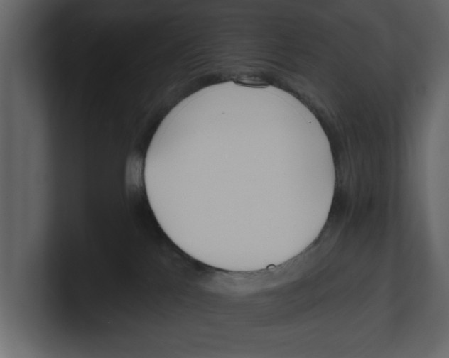 X0000100470041200807111050