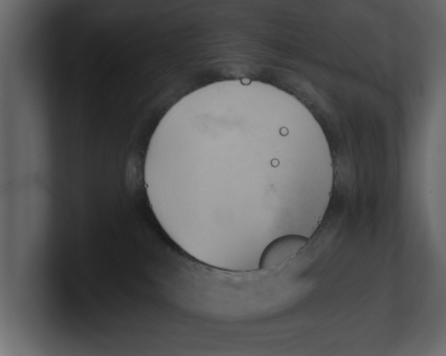 X0000100470043200807111050