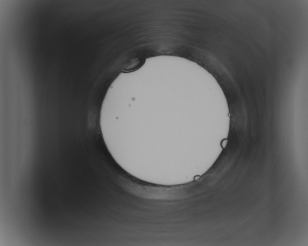 X0000100470044200807111050