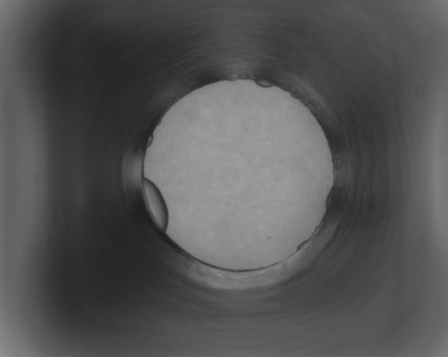 X0000100470047200807111050