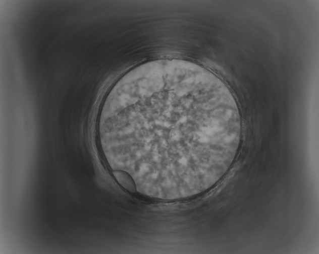 X0000100470049200807111049