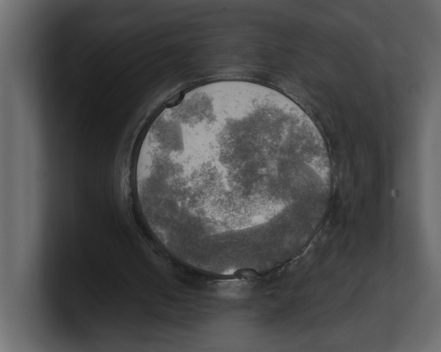 X0000100470050200807111049