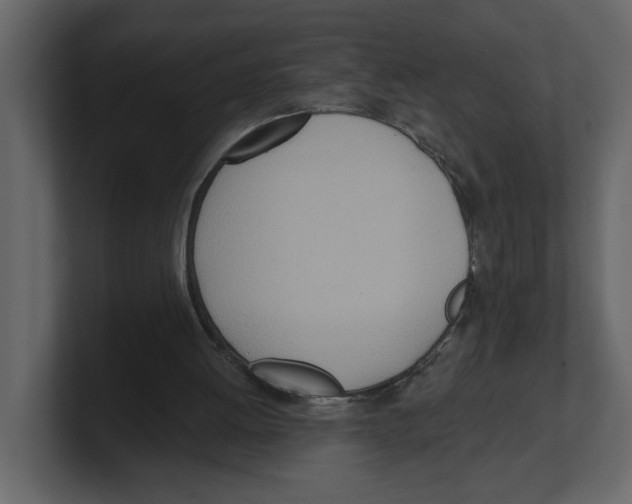 X0000100470052200807111049