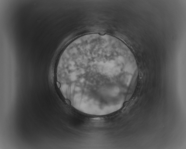 X0000100470053200807111049