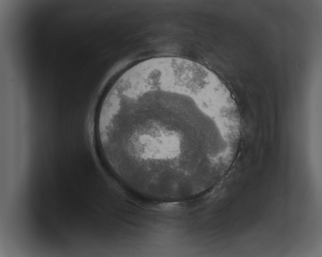 X0000100470054200807111049