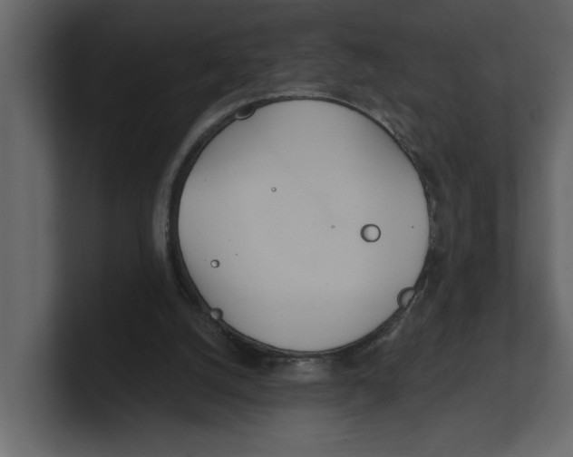 X0000100470056200807111049