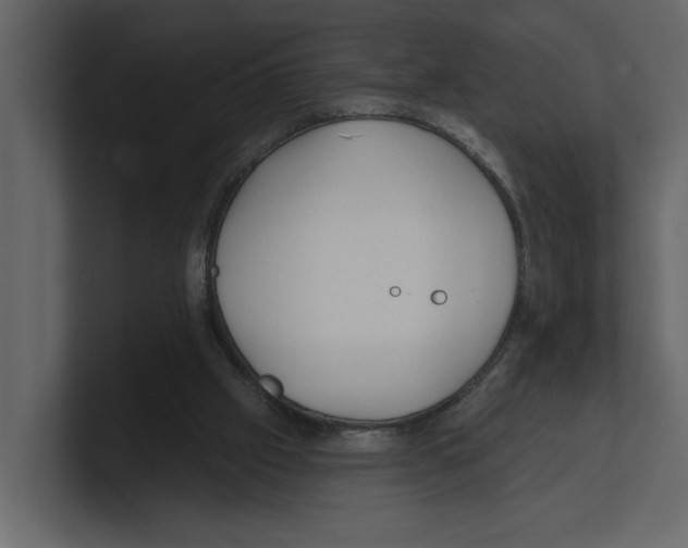 X0000100470057200807111049