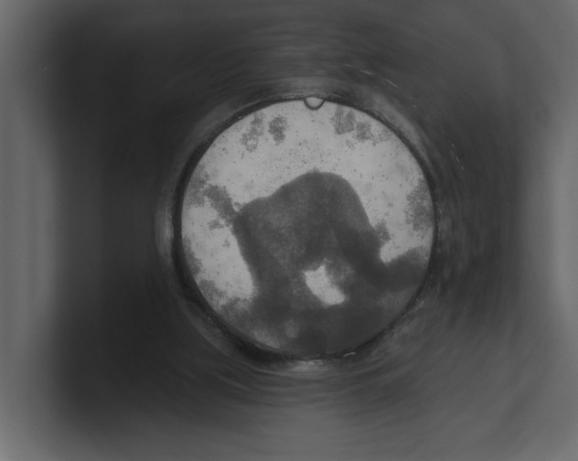 X0000100470059200807111049