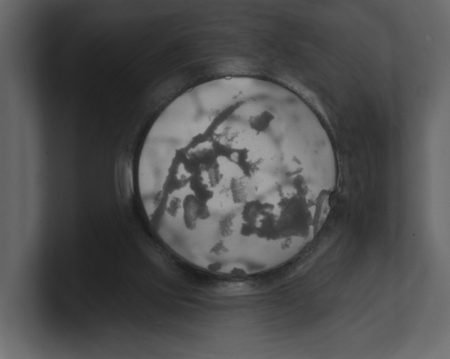 X0000100470061200807111049