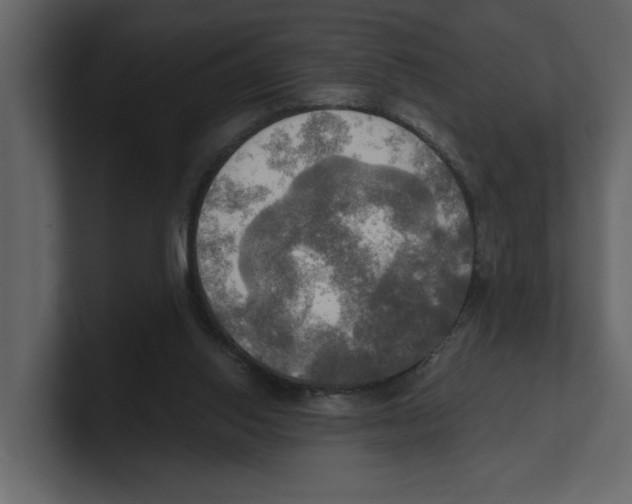 X0000100470062200807111049