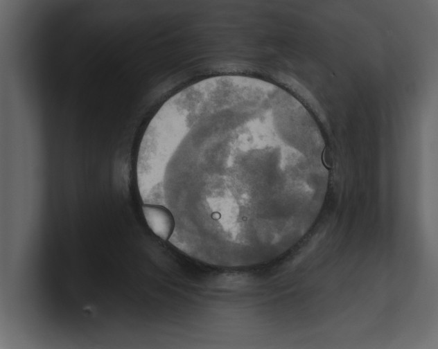 X0000100470063200807111049