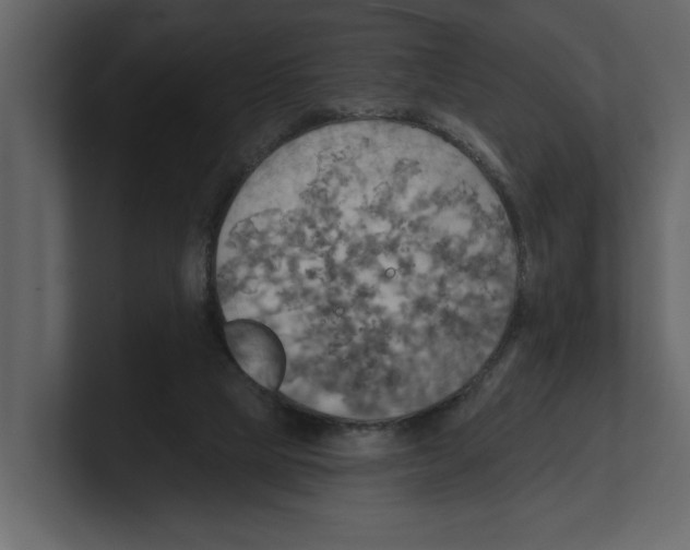 X0000100470065200807111049