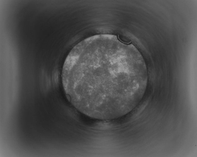 X0000100470071200807111049