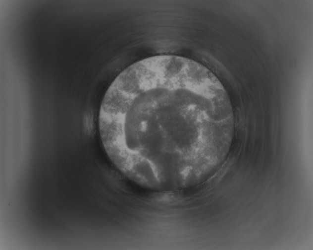 X0000100470074200807111049