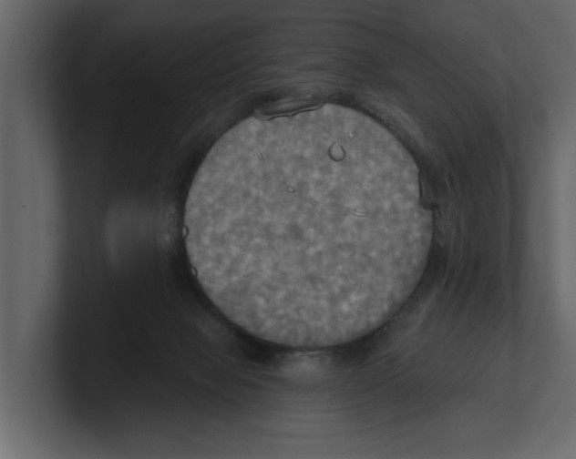 X0000100470077200807111049