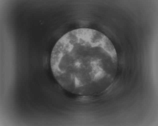 X0000100470082200807111049