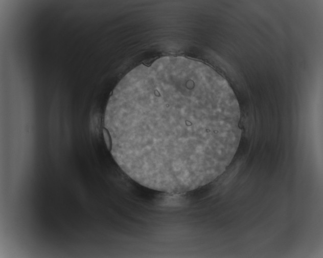 X0000100470093200807111050